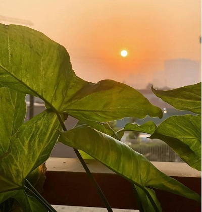 Palki Sharma Upadhyay likes photography