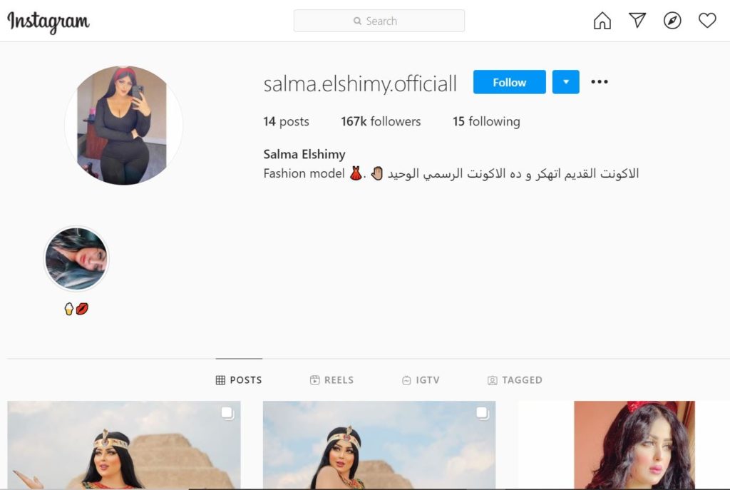 Salma Elshimy Instagram account
