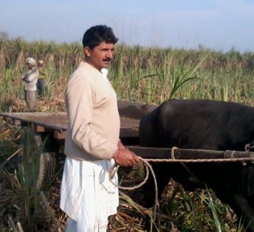 Rakesh Tikait (Farmer Leader) Wiki, Age, Wife, Net worth, Family, Biography & More 8 Shri Narendra Tikait (Son of Ch.Mahendra Singh Tikait)