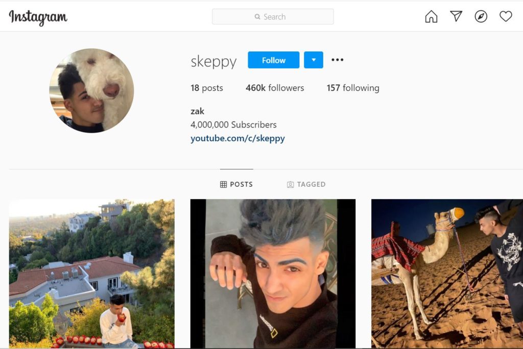 Skeppy (YouTuber) Age, Height, Net worth, Girlfriend, Biography & More 9 Skeppy Instagram account