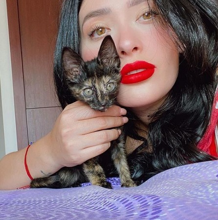 Brenda Zambrano: Wiki, Height, Age, Boyfriend, Net worth, Biography & More 16 Brenda Zambrano with her pet cat