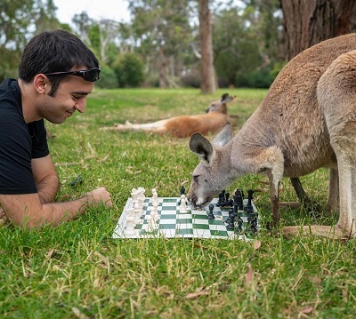 Eric Rosen playing Chess with a Kangaroo