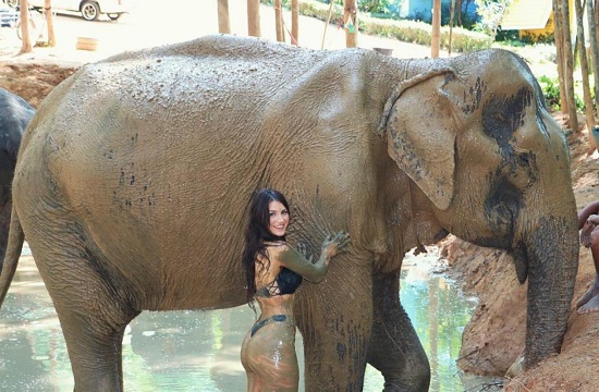Jessica Bartlett did a photoshoot with an elephant