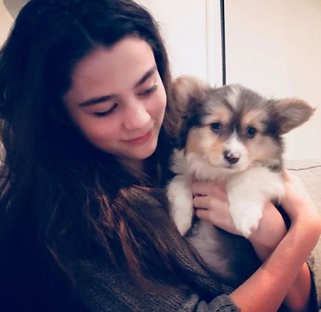 Lola Flanery Wiki, Height, Age, Boyfriend, Family, Biography & More 24 Lola Flanery with her pet dog Gizmo