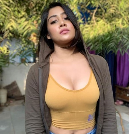 Sofia Ansari Wiki, Age, Height, Boyfriend, Net worth, Family, Biography & More 12 Sofia Ansari is known for her short lip-sync videos.