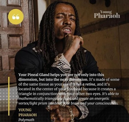Young Pharaoh Wiki, Age, Net worth, Girlfriend, Family, Biography & More 15 Young Pharaoh quotes