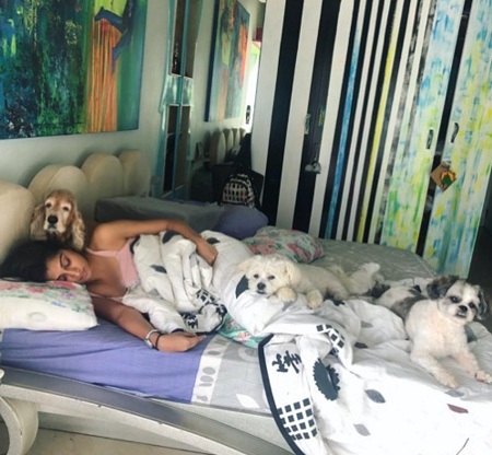 Shaza Morani: Wiki, Age, Husband, Height, Family, Biography & More 12 Shaza Morani has 6 Dogs