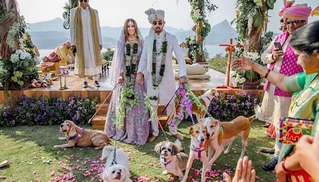 Shaza Morani: Wiki, Age, Husband, Height, Family, Biography & More 43 Shaza Morani with her Dogs