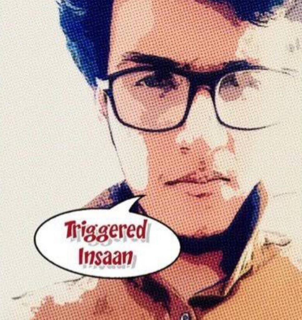 Triggered Insaan (Nischay Malhan) Wiki, Height, Age, Girlfriend, Family, Biography & More 2 Triggered Insaan