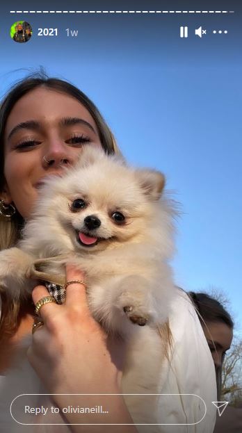 Olivia Neill Wiki | Height, Age, Boyfriend, Family, Biography & More 17 Olivia Neill with her pet