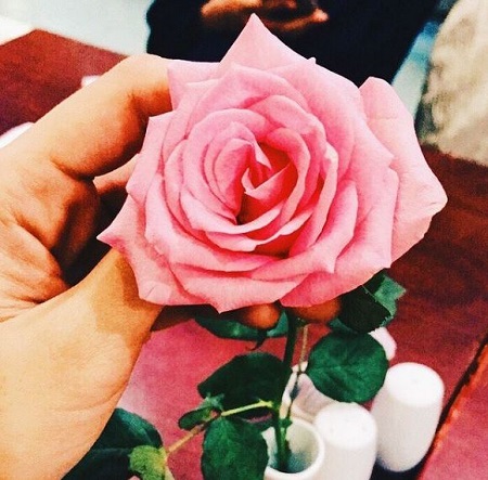 Samantha Bernardo Wiki, Height, Age, Boyfriend, Family, Biography & More 14 Samantha Bernardo favorite flower