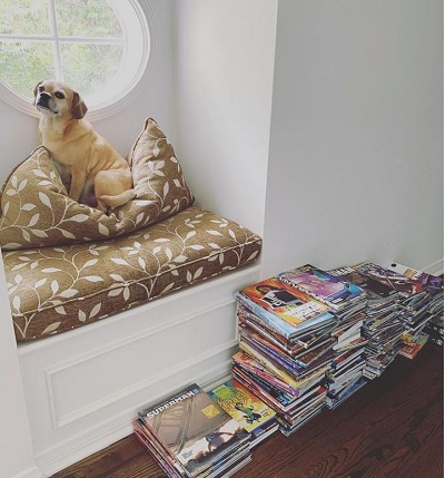 Who is Jennifer Holland? Wiki, Age, Husband, Height, Family, Bio & More 22 Jennifer Holland's collection of comic books and her pet