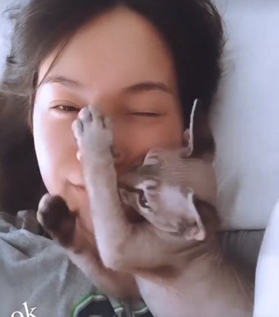 Who is QuarterJade? Wiki, Height, Age, Boyfriend, Family, Bio & More 18 QuarterJade owns a pet cat
