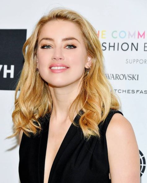 David Heard (Amber Heard's Father) Wiki - Biography, Net worth, Wife ...