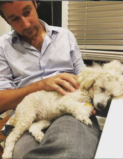 Who is Philipp von Bernstorff? Wiki, Bio, Family & Facts About Clarissa Ward's Husband 12 Bernstorff has dog named Pixie