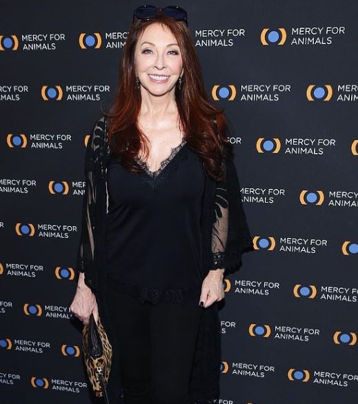 Who is Teresa Wierson? Wiki, Biography & Facts About ELVIRA's Girlfriend 9 Teresa Wierson appeared in a award show