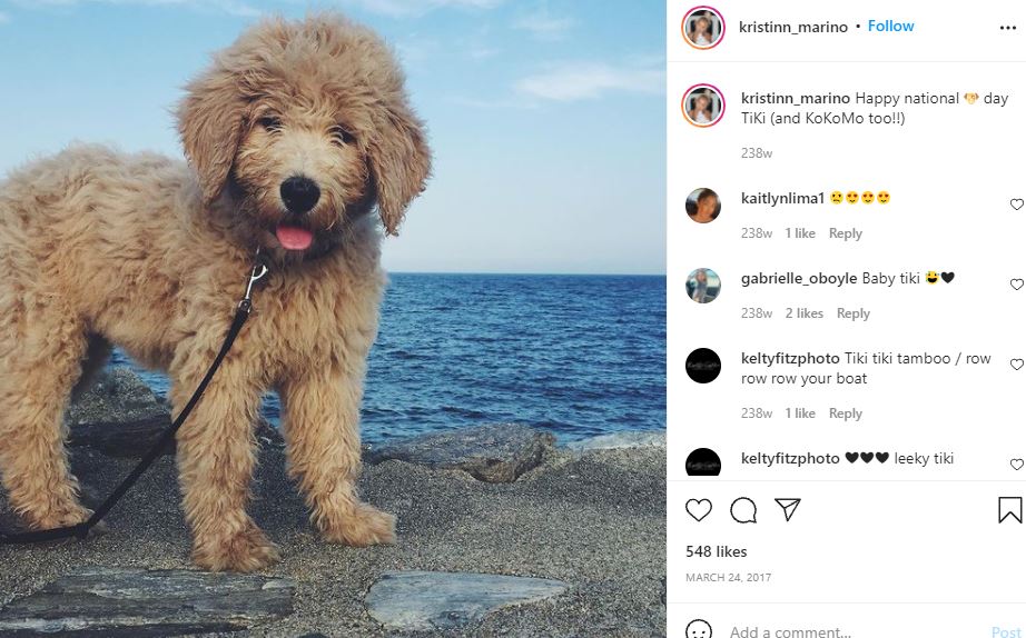 Who is Kristin Marino? Wiki, Biography, Parents, Ethnicity, Height, Age, Net worth, Boyfriend & More 13 Kristin Marino's pet dog Tiki