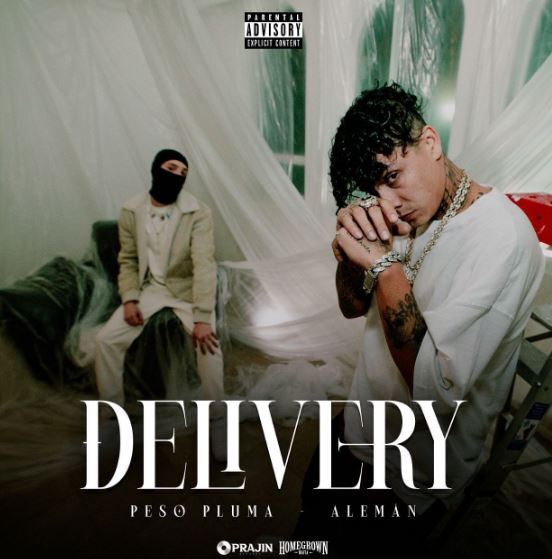 Who is Peso Pluma? Wiki, Age, Girlfriend, Real Name, Parents, Height, Net worth & More 7 Peso Pluma latest songs