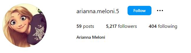 Arianna Meloni Wiki (Giorgia Meloni’s Sister), Age, Husband, Parents, Biography & More 9 Arianna's Instagram account