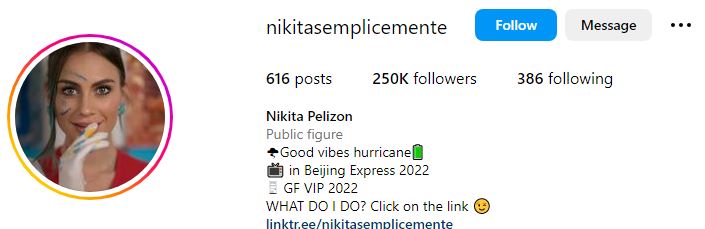 Nikita Pelizon Wiki, Age, Husband, Net Worth, Origin, Family, Height, Biography & More 7 Nikita's Instagram account