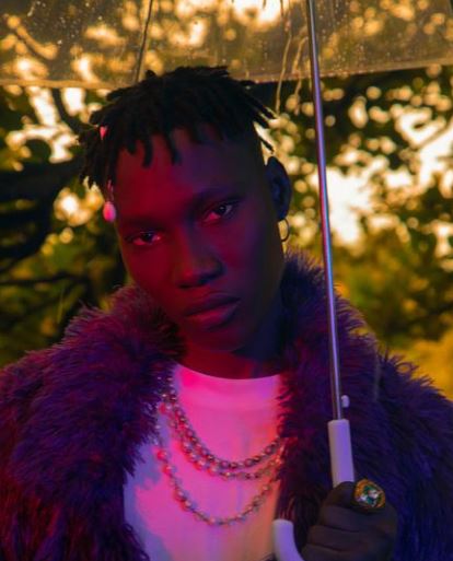 Who is Zinoleesky? Wiki, Biography, Age, Height, Girlfriend, Family, Net Worth & More 3 Zinoleesky biography