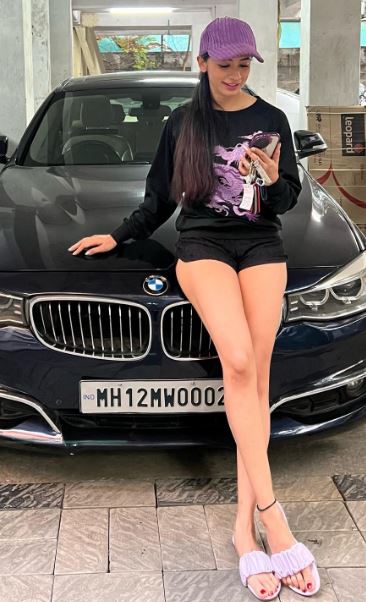 Snehal Rai Wiki, Biography, Age, Husband, Family, Kids, Height, Religion, Net Worth & More 9 Snehal's BMW car