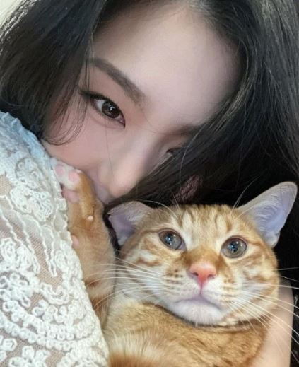 Park Soo Ryun (Actress) Wiki, Age, Death Cause, Boyfriend, Parents, Net worth, Movies, Height & Facts 2 Park with her pet cat