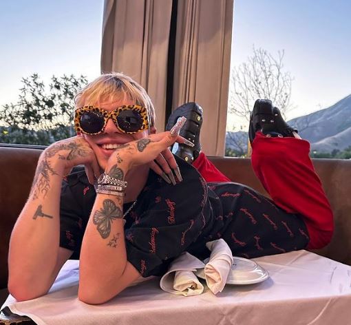 Icy Wyatt Wiki, Age, Height, Net Worth, Parents, Girlfriend, Biography & More 7 Icy Wyatt wikipedia