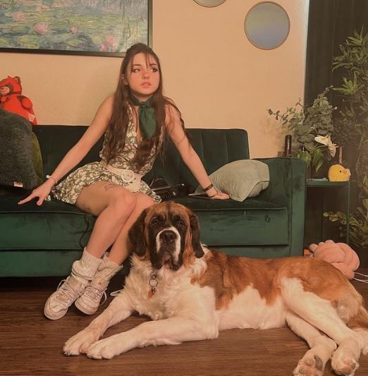 Lilmochidoll Wiki, Age, Real Name, Boyfriend, Family, Height, Net Worth, BIO & More 10 Lilmochidoll career