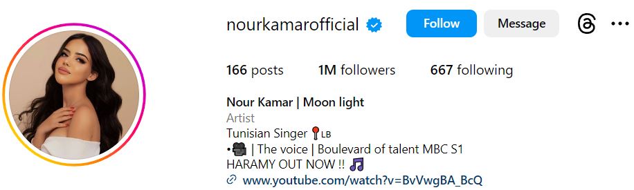 Nour Kamar's Instagram account