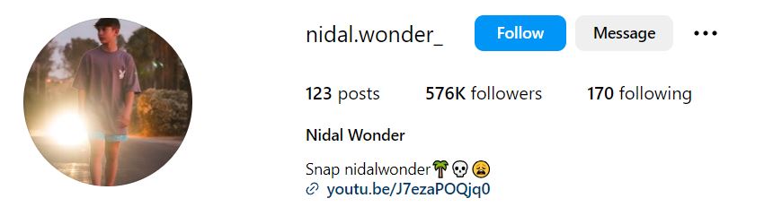 Nidal Wonder Wiki, Age, Height, Weight, Girlfriend, Family, Biography & More 11 Nidal Wonder's Instagram account