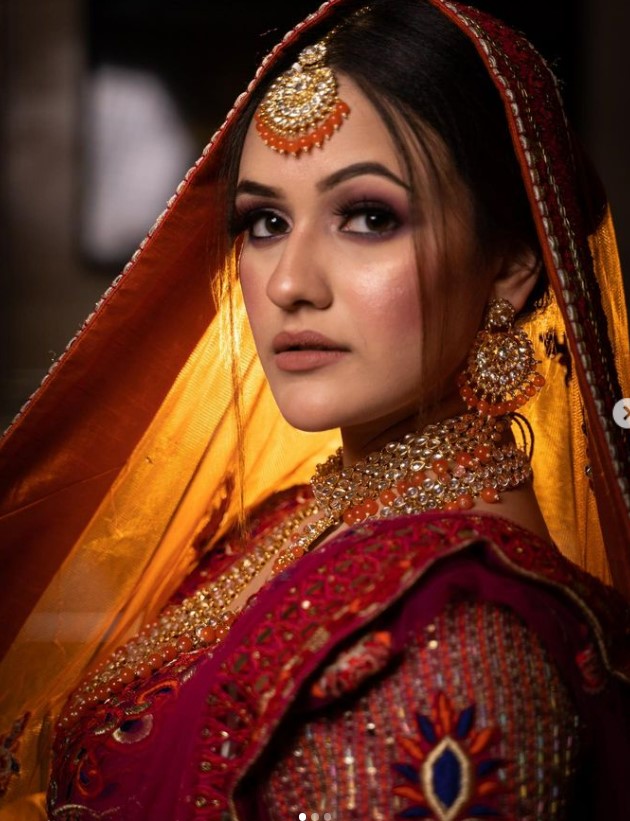 Who Is Aahna Sharma? Wiki, Age, Husband, Height, Parents, Biography, Net Worth, Caste, Career & More 2 Aahna Sharma Career