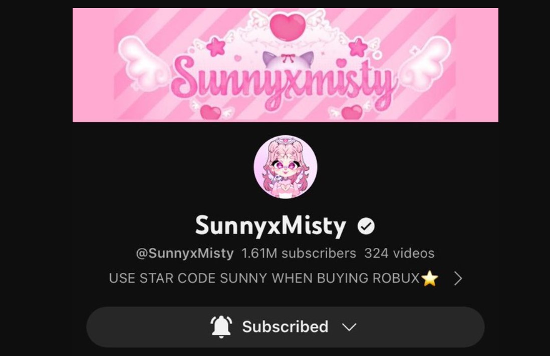 Is SunnyxMisty A Scammer Why She Is Not Posting Videos