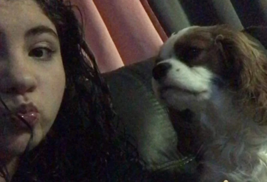 Sara Steele Missing Update 2024: Is 16 Year Old Girl Found Yet? 3 The Etowah County Sheriff’s Office is requesting the public’s assistance in locating a 16-year-old female